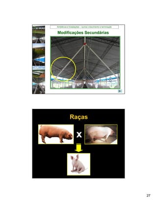 Ambiência e Instalações – suínos crescimento e terminação


Modificações Secundárias




             Raças

                    x




                                                            27
 