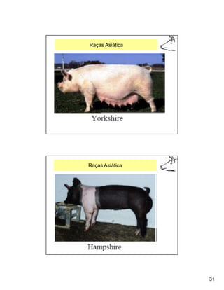 Raças Asiática




Raças Asiática




                 31
 