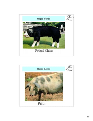 Raças Ibérica




Raças Ibérica




                33
 