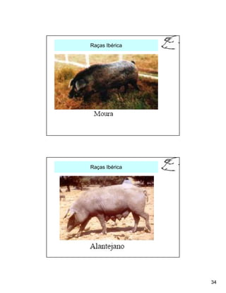 Raças Ibérica




Raças Ibérica




                34
 