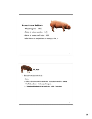 Produtividade da fêmea:
    - Nº de leitegadas – 9.452

    - Média de leitões nascidos– 10,28

    - Média de leitões aos 21 dias – 9,36

    - Peso médio da leitegada aos 21 dias (kg) – 64,10




                                                                          75




                   Duroc

•   Características zootécnicas:

    – Rústico
    – Precoce, bom rendimento de carcaça , bom ganho de peso e alta EA.
    – Prolificidade baixa - 9 leitões por leitegada.
    - É um tipo intermediário, servindo para carne e toucinho.




                                                                          76




                                                                               38
 