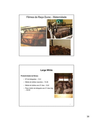 Fêmea da Raça Duroc - Maternidade




                           Large White

Produtividade da fêmea:

   – Nº de leitegadas – 12.2
   – Média de leitões nascidos – 10,36

   – Média de leitões aos 21 dias – 9,42
   – Peso médio da leitegada aos 21 dias (kg)
     – 62,64




                                                78




                                                     39
 