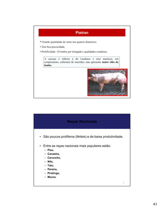 Pietran

• Grande quantidade de carne nos quartos dianteiros;
• Tem boa precocidade,
• Prolificidade -10 leitões por leitegada e qualidades criadeiras.

    A carcaça é inferior à do Landrace e seus mestiços, em
    comprimento, cobertura de toucinho, mas apresenta maior olho do
    lombo.




                          Raças Nacionais


• São poucos prolíferos (férteis) e de baixa produtividade.

• Entre as raças nacionais mais populares estão:
    –   Piau,
    –   Canastra,
    –   Caruncho,
    –   Nilo,
    –   Tatu,
    –   Pereira,
    –   Piratinga,
    –   Moura.

                                                                      82




                                                                           41
 