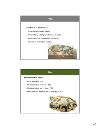 Piau


 Características Zootécnicas:

 •     Dupla aptidão (carne e banha),

 •     Atingem 80 kg a 90 kg com 9 meses de idade,

 •     Aos 7 meses são considerados tipo bacon,

 •     Rústicos de prolificidade razoável




                                                          83




                                  Piau

Produtividade da fêmea

     - Nº de leitegadas – 31

     - Média de leitões nascidos – 9,52

     - Média de leitões aos 21 dias – 7,06

     - Peso médio da leitegada aos 21 dias (kg) – 38,20




                                                          84




                                                               42
 