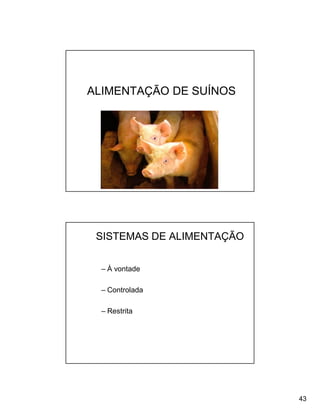 ALIMENTAÇÃO DE SUÍNOS




 SISTEMAS DE ALIMENTAÇÃO


  – À vontade

  – Controlada

  – Restrita




                           43
 