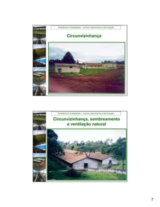 Ambiência e Instalações – suínos crescimento e terminação



           Circunvizinhança




  Ambiência e Instalações – suínos crescimento e terminação

Circunvizinhança, sombreamento
      e ventilação natural




                                                              7
 
