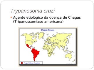 Trypanosoma cruzi
 Agente etiológico da doença de Chagas
(Tripanossomíase americana)
Agente etiológico: é um agente causador de uma doença.
Agente Etiológico
O agente etiológico da doença de chagas é o trypanosoma cruzi;
 