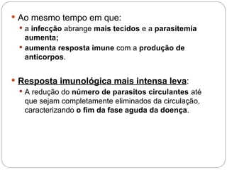  Ao mesmo tempo em que:
 a infecção abrange mais tecidos e a parasitemia
aumenta;
 aumenta resposta imune com a produção de
anticorpos.
 Resposta imunológica mais intensa leva:
 A redução do número de parasitos circulantes até
que sejam completamente eliminados da circulação,
caracterizando o fim da fase aguda da doença.
 