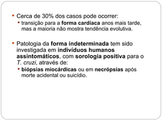  Cerca de 30% dos casos pode ocorrer:
 transição para a forma cardíaca anos mais tarde,
mas a maioria não mostra tendência evolutiva.
 Patologia da forma indeterminada tem sido
investigada em indivíduos humanos
assintomáticos, com sorologia positiva para o
T. cruzi, através de:
 biópsias miocárdicas ou em necrópsias após
morte acidental ou suicídio.
 