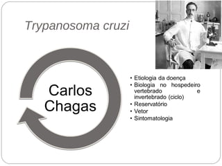 Trypanosoma cruzi
 