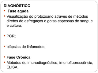 DIAGNÓSTICO
 Fase aguda
 Visualização do protozoário através de métodos
diretos de esfregaços e gotas espessas de sangue
e cultura;
 PCR;
 biópsias de linfonodos;
 Fase Crônica
 Métodos de imunodiagnóstico, imunofluorescência,
ELISA.
o exame é parasitológico em laminas para encontrar a forma
tripomastigotas.
 