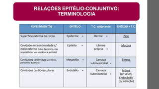 RELAÇÕES EPITÉLIO-CONJUNTIVO:
TERMINOLOGIA
 