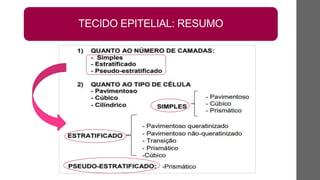 TECIDO EPITELIAL: RESUMO
 