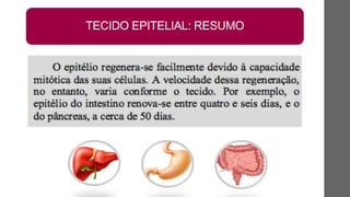 TECIDO EPITELIAL: RESUMO
 