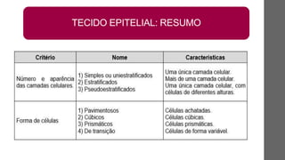 TECIDO EPITELIAL: RESUMO
 