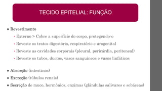 ● Revestimento
• Externo > Cobre a superfície do corpo, protegendo-o
• Reveste os tratos digestório, respiratório e urogenital
• Reveste as cavidades corporais (pleural, pericárdia, peritoneal)
• Reveste os tubos, ductos, vasos sanguíneos e vasos linfáticos
● Absorção (intestinos)
● Excreção (túbulos renais)
● Secreção de muco, hormônios, enzimas (glândulas salivares e sebáceas)
TECIDO EPITELIAL: FUNÇÃO
 