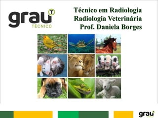 Técnico em Radiologia
Radiologia Veterinária
Prof. Daniela Borges
 
