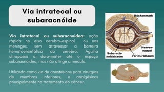 Via intratecal ou
subaracnóide
Via intratecal ou subaracnoidea: ação
rápida no eixo cerebro-espinal ou nas
meninges, sem atravessar a barreira
hematoencefálica do cérebro. Agulha
ultrapassa a dura-máter até o espaço
subaracnoideo, mas não atinge a medula.
Utilizada como via de anestésicos para cirurgias
de membros inferiores, e analgésicos
principalmente no tratamento do câncer.
 