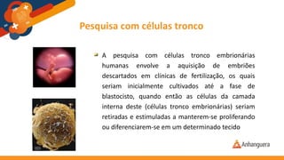 Pesquisa com células tronco
A pesquisa com células tronco embrionárias
humanas envolve a aquisição de embriões
descartados em clínicas de fertilização, os quais
seriam inicialmente cultivados até a fase de
blastocisto, quando então as células da camada
interna deste (células tronco embrionárias) seriam
retiradas e estimuladas a manterem-se proliferando
ou diferenciarem-se em um determinado tecido
 