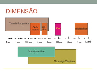 DIMENSÃO
 
