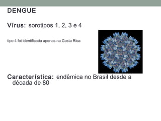 DENGUE
Vírus: sorotipos 1, 2, 3 e 4
tipo 4 foi identificada apenas na Costa Rica
Característica: endêmica no Brasil desde a
década de 80
 