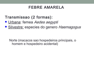 FEBRE AMARELA
Transmissao (2 formas):
 Urbana: femea Aedes aegypti
 Silvestre: especies do genero Haemagogus
Norte (macacos sao hospedeiros principais, o
homem e hospedeiro acidental)
 