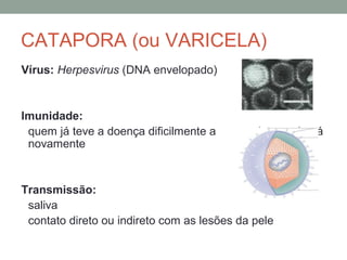 CATAPORA (ou VARICELA)
Vírus: Herpesvirus (DNA envelopado)
Imunidade:
quem já teve a doença dificilmente a desenvolverá
novamente
Transmissão:
saliva
contato direto ou indireto com as lesões da pele
 