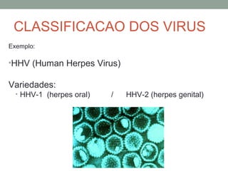 CLASSIFICACAO DOS VIRUS
Exemplo:
•HHV (Human Herpes Virus)
Variedades:
• HHV-1 (herpes oral) / HHV-2 (herpes genital)
 