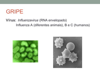 Vírus: Influenzavirus (RNA envelopado)
Influenza A (diferentes animais), B e C (humanos)
GRIPE
 