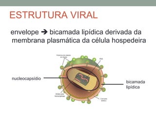 ESTRUTURA VIRAL
envelope  bicamada lipídica derivada da
membrana plasmática da célula hospedeira
nucleocapsídio
bicamada
lipídica
 