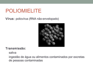 Vírus: poliovírus (RNA não-envelopado)
Transmissão:
saliva
ingestão de água ou alimentos contaminados por excretas
de pessoas contaminadas
POLIOMIELITE
 