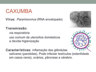 Vírus: Paramixovirus (RNA envelopado)
Transmissão:
via respiratória
uso comum de utensílios domésticos sem
a devida higienização
Características: inflamação das glândulas
salivares (parotidas). Pode infectar testículos (esterilidade
em casos raros), ovários, pâncreas e cérebro.
CAXUMBA
 