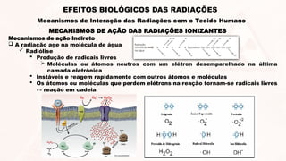 Mecanismos de ação Indireto
 A radiação age na molécula de água
 Radiólise
 Produção de radicais livres
 Moléculas ou átomos neutros com um elétron desemparelhado na última
camada eletrônica
 Instáveis e reagem rapidamente com outros átomos e moléculas
 Os átomos ou moléculas que perdem elétrons na reação tornam-se radicais livres
↔ reação em cadeia
MECANISMOS DE AÇÃO DAS RADIAÇÕES IONIZANTES
EFEITOS BIOLÓGICOS DAS RADIAÇÕES
Mecanismos de Interação das Radiações com o Tecido Humano
 