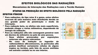  Para radiações, do tipo raios X e gama, estes efeitos
ocorrem de uma maneira mais distribuída devido ao
seu grande poder de penetração e modo de
interação.
 Para radiação beta, os efeitos são mais superficiais,
podendo chegar a vários milímetros, dependendo da
energia da radiação.
 Para as radiações alfa não conseguem penetrar nem
um décimo de milímetro na pele de uma pessoa.
o Seus efeitos provocados por exposições
externas são pouco relevantes.
o No caso de inalação ou ingestão de
radionuclídeos alfa-emissores, as partículas alfa
podem danificar seriamente células de alguns
órgãos ou tecidos, pelo fato de serem emitidas
em estreito contato ou no seu interior.
EFEITOS FÍSICOS
ETAPAS DA PRODUÇÃO DO EFEITO BIOLÓGICO PELA RADIAÇÃO
EFEITOS BIOLÓGICOS DAS RADIAÇÕES
Mecanismos de Interação das Radiações com o Tecido Humano
 