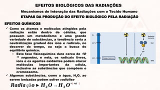 EFEITOS QUÍMICOS
 Como os átomos e moléculas atingidos pela
radiação estão dentro de células, que
possuem um metabolismo e uma grande
variedade de substâncias, a tendência seria a
neutralização gradual dos íons e radicais, no
decorrer do tempo, ou seja a busca do
equilíbrio químico.
o Esta fase fisicoquímica dura cerca de 10-
10
segundos, e nela, os radicais livres,
íons e os agentes oxidantes podem atacar
moléculas importantes da célula,
inclusive as substâncias que compõem o
cromossomo.
 Algumas substâncias, como a água, H2O, ao
serem ionizadas podem sofrer radiólise
𝑹𝒂𝒅𝒊𝒂 çã𝒐► 𝑯𝟐 𝑶 →𝑯𝟐 𝑶+¿+𝒆
−
¿
ETAPAS DA PRODUÇÃO DO EFEITO BIOLÓGICO PELA RADIAÇÃO
EFEITOS BIOLÓGICOS DAS RADIAÇÕES
Mecanismos de Interação das Radiações com o Tecido Humano
 