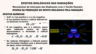  H2O+
é o íon positivo e e-
o íon negativo.
 O íon positivo forma o radical hidroxil ao
se dissociar na forma:
𝑯 𝟐 𝑶
+¿→ 𝑯
+¿+ 𝑶 𝑯
∗
¿
¿
 O íon negativo, que é o elétron, ataca
uma molécula neutra de água,
dissociando-a e formando o radical
hidrogênio:
𝒆−
+ 𝑯𝟐 𝑶→ 𝑯𝟐 𝑶−
→ 𝑯∗
+𝑶 𝑯−
 Os radicais hidrogênio e hidroxil podem
ser formados também com a dissociação
da água, numa excitação:
𝑯𝟐 𝑶→ 𝑯𝟐 𝑶∗
𝑶𝑯∗
+𝑯∗
EFEITOS QUÍMICOS
ETAPAS DA PRODUÇÃO DO EFEITO BIOLÓGICO PELA RADIAÇÃO
EFEITOS BIOLÓGICOS DAS RADIAÇÕES
Mecanismos de Interação das Radiações com o Tecido Humano
 