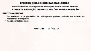  Os radicais e o peróxido de hidrogênio podem reduzir ou oxidar as
moléculas biológicas.
 Reações típicas são:
𝑴𝑯 +𝑶 𝑯∗
→ 𝑴𝟎
+𝑯𝟐 𝑶
EFEITOS QUÍMICOS
ETAPAS DA PRODUÇÃO DO EFEITO BIOLÓGICO PELA RADIAÇÃO
EFEITOS BIOLÓGICOS DAS RADIAÇÕES
Mecanismos de Interação das Radiações com o Tecido Humano
 