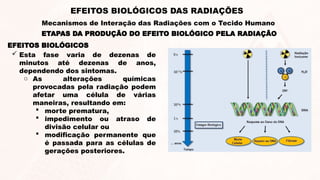 EFEITOS BIOLÓGICOS
 Esta fase varia de dezenas de
minutos até dezenas de anos,
dependendo dos sintomas.
o As alterações químicas
provocadas pela radiação podem
afetar uma célula de várias
maneiras, resultando em:
 morte prematura,
 impedimento ou atraso de
divisão celular ou
 modificação permanente que
é passada para as células de
gerações posteriores.
ETAPAS DA PRODUÇÃO DO EFEITO BIOLÓGICO PELA RADIAÇÃO
EFEITOS BIOLÓGICOS DAS RADIAÇÕES
Mecanismos de Interação das Radiações com o Tecido Humano
 