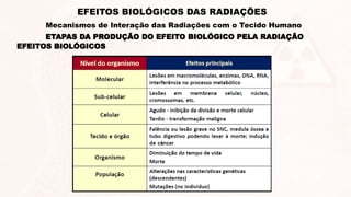 EFEITOS BIOLÓGICOS
ETAPAS DA PRODUÇÃO DO EFEITO BIOLÓGICO PELA RADIAÇÃO
EFEITOS BIOLÓGICOS DAS RADIAÇÕES
Mecanismos de Interação das Radiações com o Tecido Humano
 