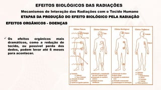 EFEITOS ORGÂNICOS - DOENÇAS
 Os efeitos orgânicos mais
dramáticos, como a redução de
tecido, ou possível perda dos
dedos, podem levar até 6 meses
para acontecer.
ETAPAS DA PRODUÇÃO DO EFEITO BIOLÓGICO PELA RADIAÇÃO
EFEITOS BIOLÓGICOS DAS RADIAÇÕES
Mecanismos de Interação das Radiações com o Tecido Humano
 
