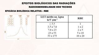 EFICÁCIA BIOLÓGICA RELATIVA - RBE
RADIOSSENSIBILIDADE DOS TECIDOS
EFEITOS BIOLÓGICOS DAS RADIAÇÕES
 