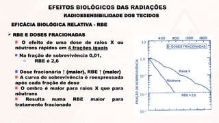  RBE E DOSES FRACIONADAS
Na fração de sobrevivência 0,01,
o RBE é 2,6
Dose fracionária ↑ (maior), RBE ↑ (maior)
A curva de sobrevivência é reexpressada
após cada fração de dose
O ombro é maior para raios X que para
nêutrons
Resulta numa RBE maior para
tratamento fracionado
O efeito de uma dose de raios X ou
nêutrons rápidos em 4 frações iguais
EFICÁCIA BIOLÓGICA RELATIVA - RBE
RADIOSSENSIBILIDADE DOS TECIDOS
EFEITOS BIOLÓGICOS DAS RADIAÇÕES
 