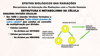 ESQUEMA DIVISÃO CELULAR
 Em 1858 o alemão Virchow formulou o
célebre axioma "toda célula provém de
outra célula" que conduz ao conceito
de multiplicação por divisão.
 Células somática
o Se dividem por MITOSES
 Células germinativas
o Se dividem por MEIOSES
TEMPO FINITO
PARA A MAIORIA
DAS CÉLULAS
CICLO CELULAR
DIVISÃO MITÓTICA
CÉLULAS IDÊNTICAS ÀS
PROGENITORAS
DUPLICA
TODOS SEUS
COMPONENTES
ESTRUTURA E METABOLISMO DA CÉLULA
EFEITOS BIOLÓGICOS DAS RADIAÇÕES
Mecanismos de Interação das Radiações com o Tecido Humano
 
