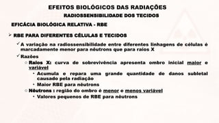 A variação na radiossensibilidade entre diferentes linhagens de células é
marcadamente menor para nêutrons que para raios X
Razões
o Raios X: curva de sobrevivência apresenta ombro inicial maior e
variável
• Acumula e repara uma grande quantidade de danos subletal
causado pela radiação
• Maior RBE para nêutrons
o Nêutrons : região do ombro é menor e menos variável
• Valores pequenos de RBE para nêutrons
 RBE PARA DIFERENTES CÉLULAS E TECIDOS
EFICÁCIA BIOLÓGICA RELATIVA - RBE
RADIOSSENSIBILIDADE DOS TECIDOS
EFEITOS BIOLÓGICOS DAS RADIAÇÕES
 