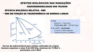 RBE EM FUNÇÃO DA TRANSFERÊNCIA DE ENERGIA LINEAR
LET
Raios X : 2 keV/μm
Partículas alfa : 150 KeV/μm
Se a LET ↑ (aumenta)
A curva é mais íngreme
Ombro da curva↓ (menor)
Curvas de sobrevivência para células cultivadas de origem
humana expostas a raios X de 250 kVp, nêutrons de 15 MeV e
partículas α de 4 MeV
EFICÁCIA BIOLÓGICA RELATIVA - RBE
RADIOSSENSIBILIDADE DOS TECIDOS
EFEITOS BIOLÓGICOS DAS RADIAÇÕES
 