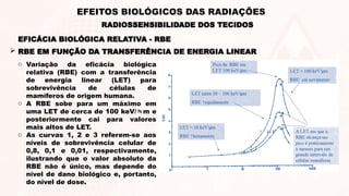  RBE EM FUNÇÃO DA TRANSFERÊNCIA DE ENERGIA LINEAR
EFICÁCIA BIOLÓGICA RELATIVA - RBE
RADIOSSENSIBILIDADE DOS TECIDOS
EFEITOS BIOLÓGICOS DAS RADIAÇÕES
o Variação da eficácia biológica
relativa (RBE) com a transferência
de energia linear (LET) para
sobrevivência de células de
mamíferos de origem humana.
o A RBE sobe para um máximo em
uma LET de cerca de 100 keV/m e
posteriormente cai para valores
mais altos de LET.
o As curvas 1, 2 e 3 referem-se aos
níveis de sobrevivência celular de
0,8, 0,1 e 0,01, respectivamente,
ilustrando que o valor absoluto da
RBE não é único, mas depende do
nível de dano biológico e, portanto,
do nível de dose.
 