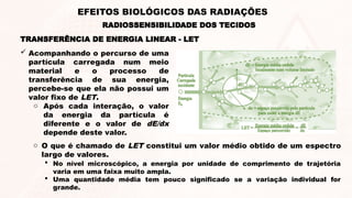  Acompanhando o percurso de uma
partícula carregada num meio
material e o processo de
transferência de sua energia,
percebe-se que ela não possui um
valor fixo de LET.
o Após cada interação, o valor
da energia da partícula é
diferente e o valor de dE/dx
depende deste valor.
TRANSFERÊNCIA DE ENERGIA LINEAR - LET
RADIOSSENSIBILIDADE DOS TECIDOS
EFEITOS BIOLÓGICOS DAS RADIAÇÕES
 No nível microscópico, a energia por unidade de comprimento de trajetória
varia em uma faixa muito ampla.
 Uma quantidade média tem pouco significado se a variação individual for
grande.
o O que é chamado de LET constitui um valor médio obtido de um espectro
largo de valores.
 