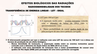 LET para 100 keV/μm
A separação media entre eventos ionizantes coincide
com o diâmetro da hélice do DNA (isto é,
aproximadamente 2 nm)
Maior probabilidade de causar quebra dupla de tira
pela passagem de uma única partícula carregada
TRANSFERÊNCIA DE ENERGIA LINEAR – LET - IDEAL
RADIOSSENSIBILIDADE DOS TECIDOS
EFEITOS BIOLÓGICOS DAS RADIAÇÕES
 É interessante perguntar por que a radiação com uma LET de cerca de 100 keV/m é ótima em
termos de produção de um efeito biológico.
o Nessa densidade de ionização, a separação média entre os eventos ionizantes quase
coincide com o diâmetro da dupla hélice do DNA (20 Å ou 2 nm).
o A radiação com essa densidade de ionização tem a maior probabilidade de causar uma
quebra de fita dupla (DSB) pela passagem de uma única partícula carregada
 