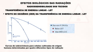  EFEITO DO OXIGÊNIO (OER) NA TRANSFERÊNCIA DE ENERGIA LINEAR - LET
Curvas de sobrevivência para células cultivadas de origem
humana determinadas por quatro diferentes tipos de radiação
Para raios X 250 kVp
Baixa LET
Alta OER (2,5)
TRANSFERÊNCIA DE ENERGIA LINEAR - LET
RADIOSSENSIBILIDADE DOS TECIDOS
EFEITOS BIOLÓGICOS DAS RADIAÇÕES
 