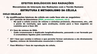 CICLO CELULAR
 As modificações básicas da célula em cada fase são as seguintes:
 G1 = período de biossíntese (RNA, proteínas, enzimas, etc.)
o No qual a célula cresce de volume e sintetiza proteínas, ribossomos, etc., até
o ponto de restrição, que após avaliação, evolui para a fase seguinte ou
caminha para a fase G0.
 S = fase de síntese do DNA.
o Cada cromossomo é duplicado longitudinalmente, passando a ser formado por
2 cromatídeos ligados pelo centrômero.
 G2 = fase que conduz à mitose e que permite formar estruturas a ela diretamente
ligadas; síntese de biomoléculas essenciais à mitose
 Fase Mitótica = fase de reprodução da célula.
ESTRUTURA E METABOLISMO DA CÉLULA
EFEITOS BIOLÓGICOS DAS RADIAÇÕES
Mecanismos de Interação das Radiações com o Tecido Humano
 